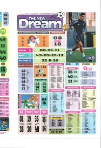 week 13 the new dream 2026 page 1